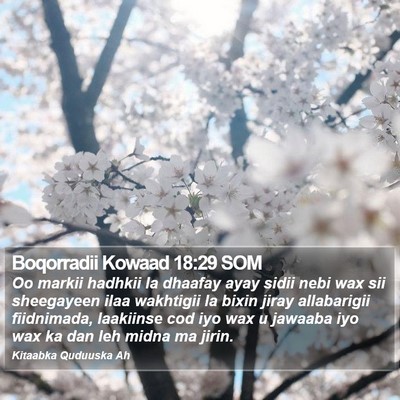 Boqorradii Kowaad 18:29 SOM Bible Verse Image