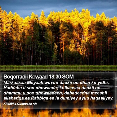 Boqorradii Kowaad 18:30 SOM Bible Verse Image