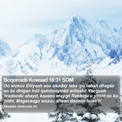 Boqorradii Kowaad 18:31 SOM Bible Verse Image