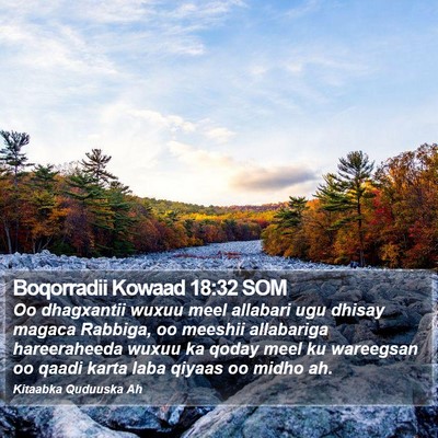 Boqorradii Kowaad 18:32 SOM Bible Verse Image