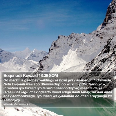 Boqorradii Kowaad 18:36 SOM Bible Verse Image