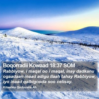 Boqorradii Kowaad 18:37 SOM Bible Verse Image
