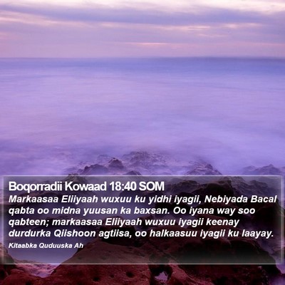 Boqorradii Kowaad 18:40 SOM Bible Verse Image