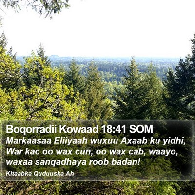 Boqorradii Kowaad 18:41 SOM Bible Verse Image