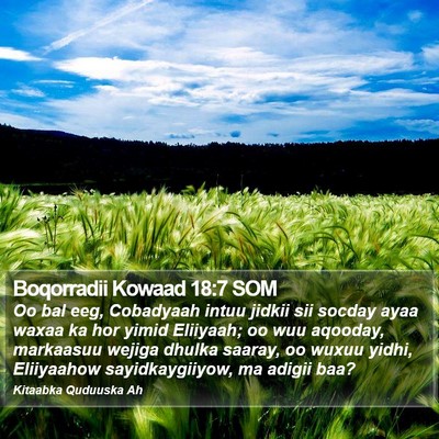 Boqorradii Kowaad 18:7 SOM Bible Verse Image