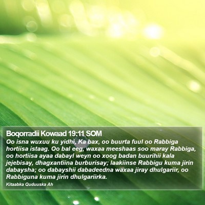 Boqorradii Kowaad 19:11 SOM Bible Verse Image