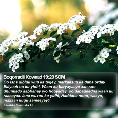Boqorradii Kowaad 19:20 SOM Bible Verse Image
