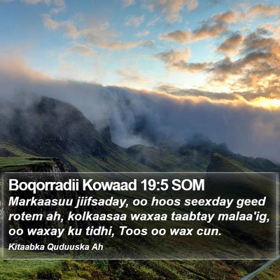 Boqorradii Kowaad 19:5 SOM Bible Verse Image