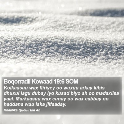 Boqorradii Kowaad 19:6 SOM Bible Verse Image