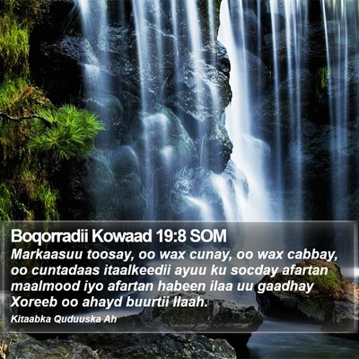 Boqorradii Kowaad 19:8 SOM Bible Verse Image