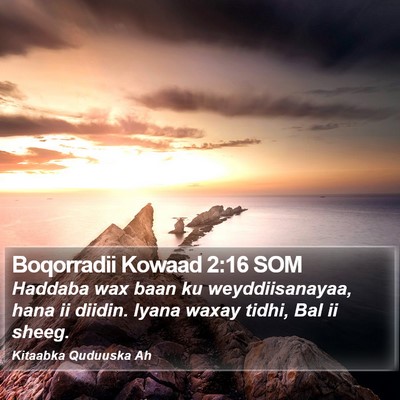 Boqorradii Kowaad 2:16 SOM Bible Verse Image