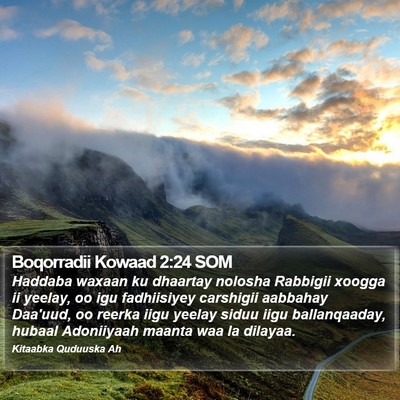 Boqorradii Kowaad 2:24 SOM Bible Verse Image