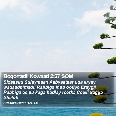 Boqorradii Kowaad 2:27 SOM Bible Verse Image