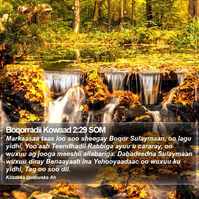Boqorradii Kowaad 2:29 SOM Bible Verse Image