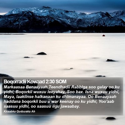 Boqorradii Kowaad 2:30 SOM Bible Verse Image