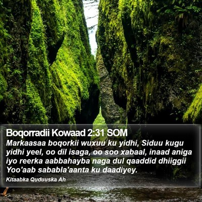 Boqorradii Kowaad 2:31 SOM Bible Verse Image