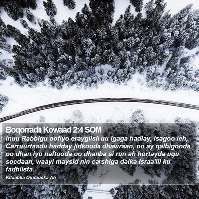 Boqorradii Kowaad 2:4 SOM Bible Verse Image