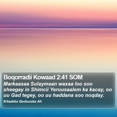 Boqorradii Kowaad 2:41 SOM Bible Verse Image
