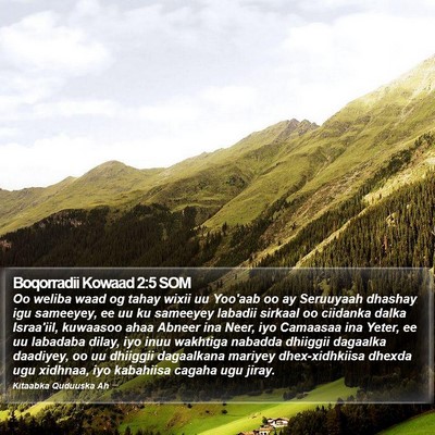 Boqorradii Kowaad 2:5 SOM Bible Verse Image