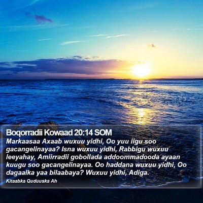 Boqorradii Kowaad 20:14 SOM Bible Verse Image