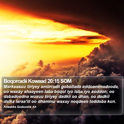 Boqorradii Kowaad 20:15 SOM Bible Verse Image