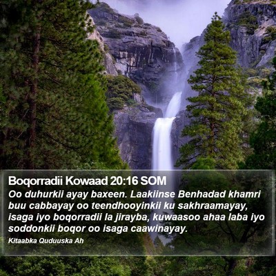 Boqorradii Kowaad 20:16 SOM Bible Verse Image