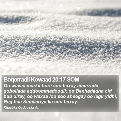 Boqorradii Kowaad 20:17 SOM Bible Verse Image
