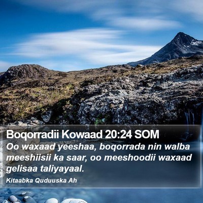 Boqorradii Kowaad 20:24 SOM Bible Verse Image