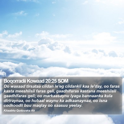 Boqorradii Kowaad 20:25 SOM Bible Verse Image