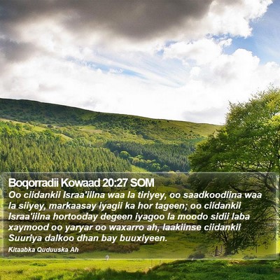 Boqorradii Kowaad 20:27 SOM Bible Verse Image