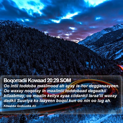 Boqorradii Kowaad 20:29 SOM Bible Verse Image