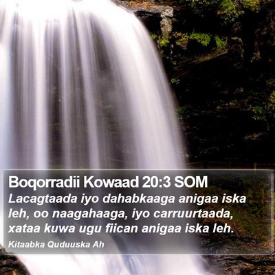 Boqorradii Kowaad 20:3 SOM Bible Verse Image
