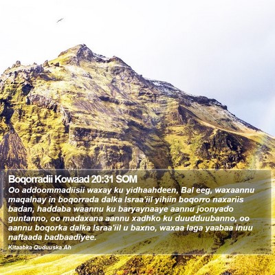 Boqorradii Kowaad 20:31 SOM Bible Verse Image