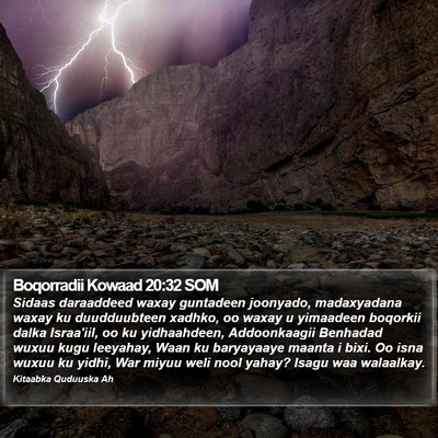 Boqorradii Kowaad 20:32 SOM Bible Verse Image