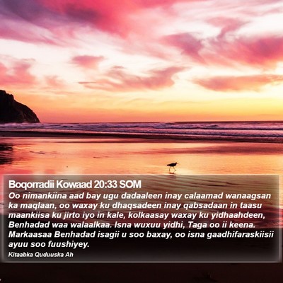 Boqorradii Kowaad 20:33 SOM Bible Verse Image