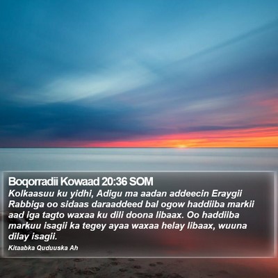 Boqorradii Kowaad 20:36 SOM Bible Verse Image