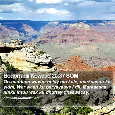 Boqorradii Kowaad 20:37 SOM Bible Verse Image