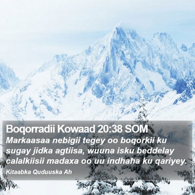 Boqorradii Kowaad 20:38 SOM Bible Verse Image