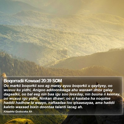 Boqorradii Kowaad 20:39 SOM Bible Verse Image
