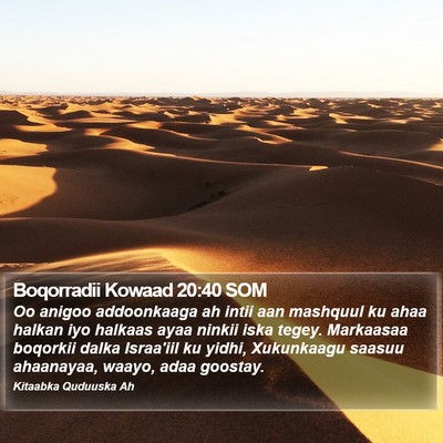 Boqorradii Kowaad 20:40 SOM Bible Verse Image