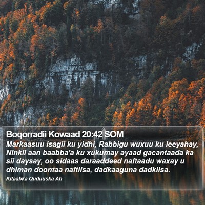 Boqorradii Kowaad 20:42 SOM Bible Verse Image