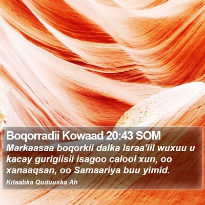 Boqorradii Kowaad 20:43 SOM Bible Verse Image