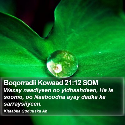Boqorradii Kowaad 21:12 SOM Bible Verse Image