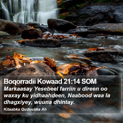 Boqorradii Kowaad 21:14 SOM Bible Verse Image