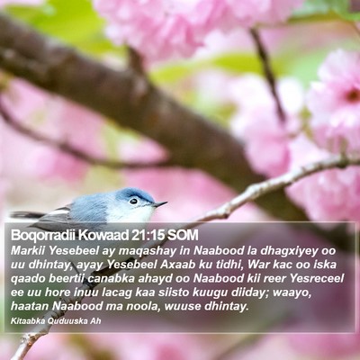 Boqorradii Kowaad 21:15 SOM Bible Verse Image