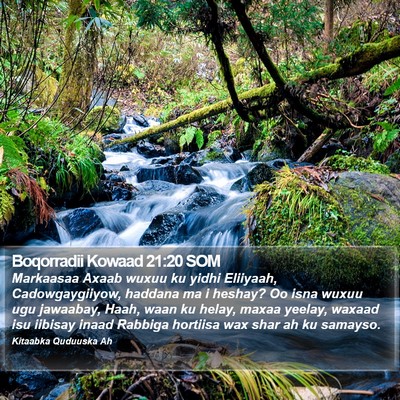 Boqorradii Kowaad 21:20 SOM Bible Verse Image