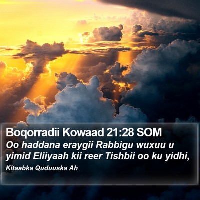 Boqorradii Kowaad 21:28 SOM Bible Verse Image
