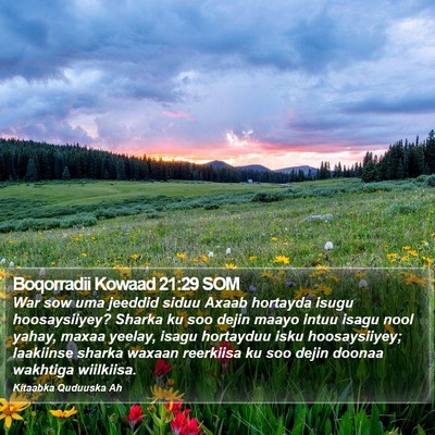 Boqorradii Kowaad 21:29 SOM Bible Verse Image
