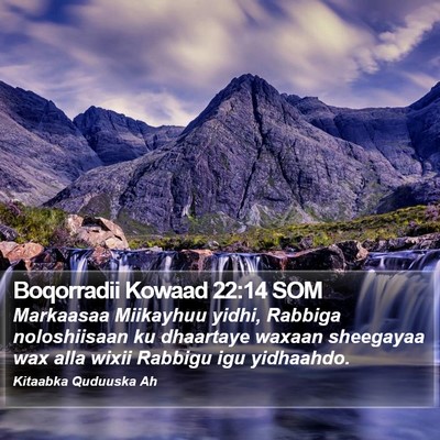 Boqorradii Kowaad 22:14 SOM Bible Verse Image