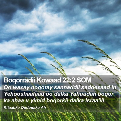 Boqorradii Kowaad 22:2 SOM Bible Verse Image
